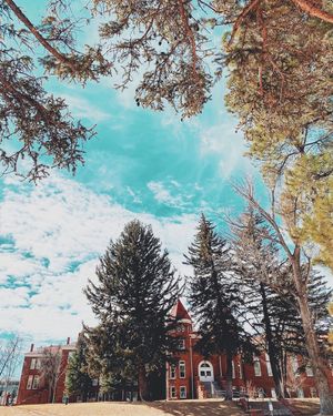 Image post by @nauflagstaff on Instagram