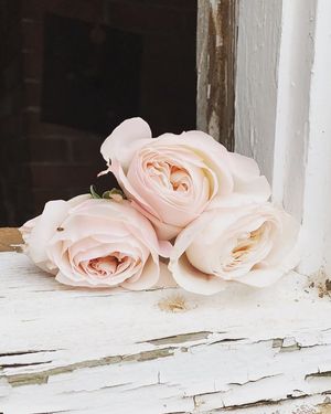 Image post by @soireessouthernevents on Instagram