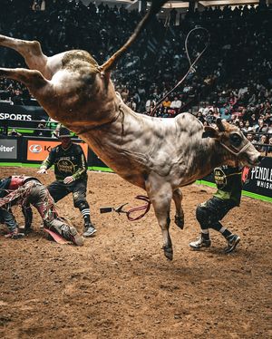 Image post by @pbr on Instagram
