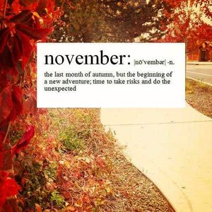 Image post by @nauflagstaff on Instagram