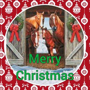 Image post by @equineidsolutions on Instagram