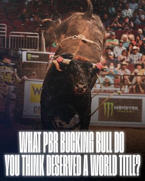 Image post by @pbr on Instagram