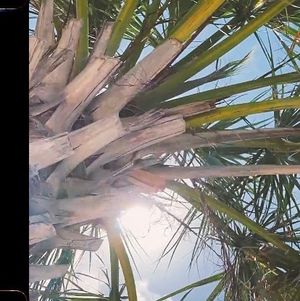 Image post by @ritas.reels on Instagram