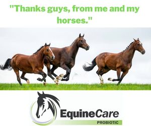 Image post by @equinecareprobiotic on Instagram
