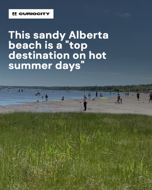 Image post by @curiocitycalgary on Instagram