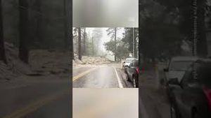 Video post by @nowthisnews on YouTube