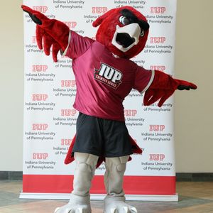 Image post by @iupedu on Instagram