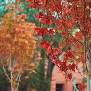 Image post by @nauflagstaff on Instagram