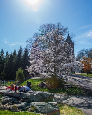Image post by @uofnh on Instagram
