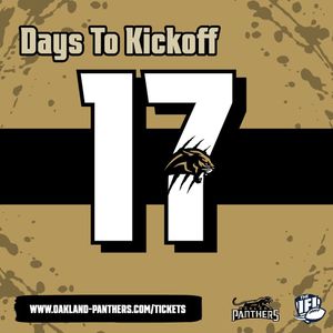 Image post by @panthersifl on Instagram