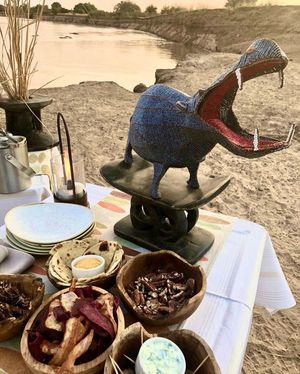Image post by @chiawasafaris on Instagram