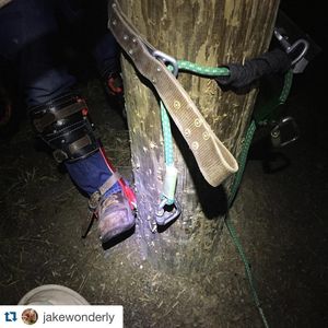 Image post by @sltc99 on Instagram