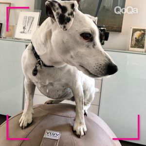 Image post by @qoqa_schweiz on Instagram