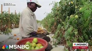 Video post by @msnbc on YouTube