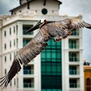 Image post by @visitsarasotacounty on Instagram