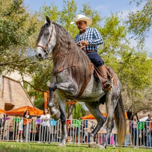 Image post by @utrgv on Instagram