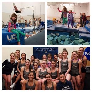 Image post by @ucdavisgym on Instagram
