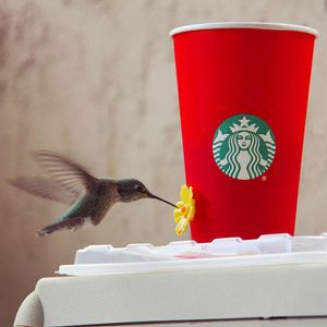 Image post by @starbucks on Instagram