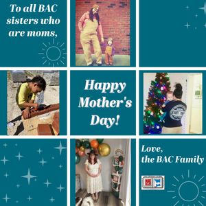 Image post by @iubac on Instagram