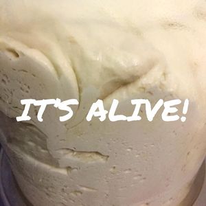 Image post by @farmtomktbread on Instagram
