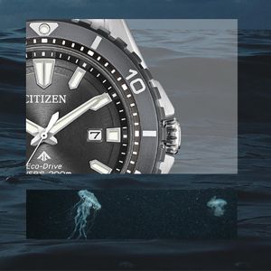 Image post by @citizenwatchus on Instagram