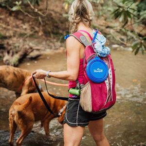 Image post by @triumphpetfood on Instagram