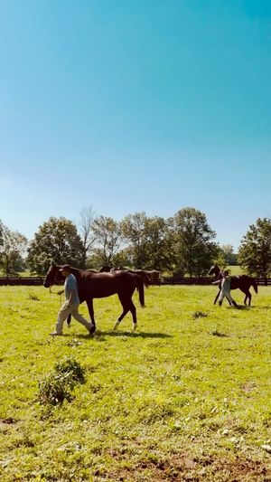 Video post by @spendthriftfarm on Instagram