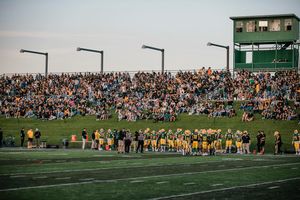 Image post by @bearsandpandas on Instagram