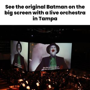 Image post by @thatssotampa on Instagram