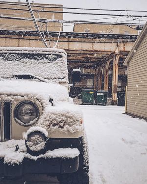 Image post by @willtrogdon on Instagram