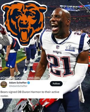 Image post by @chicago.sports.fans.daily on Instagram