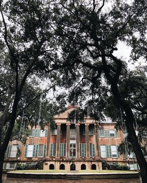 Image post by @collegeofcharleston on Instagram