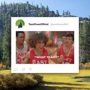 Image post by @teamtrees on Instagram