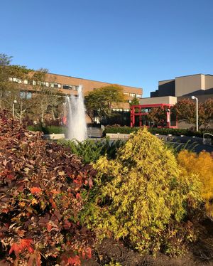 Image post by @stonybrooku on Instagram