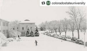 Image post by @csunaturalsciences on Instagram