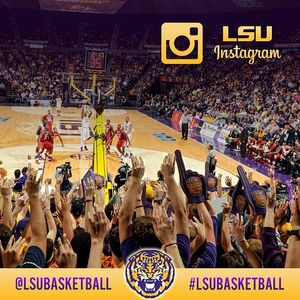 Image post by @lsubasketball on Instagram