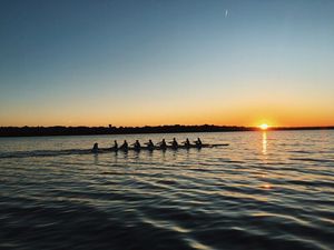 Image post by @cusewrowing on Instagram