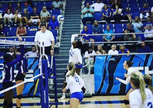 Image post by @memphisvball on Instagram