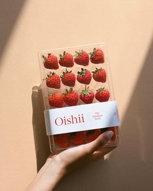 Image post by @oishii.berry on Instagram