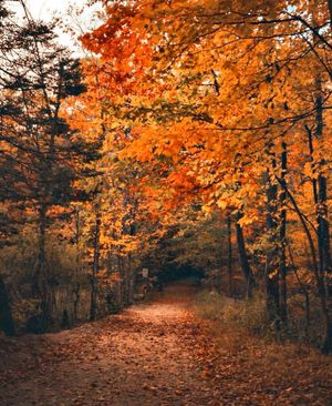 Image post by @themainemag on Instagram