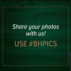 Image post by @thebloodhorse on Instagram