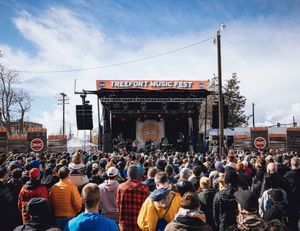 Image post by @treefortfest on Instagram