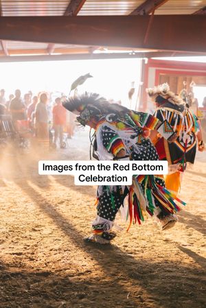 Image post by @andyaustinphoto on TikTok
