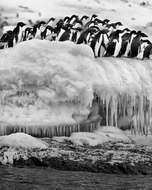 Image post by @natgeo on Instagram