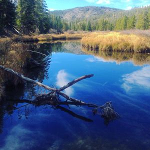 Image post by @olderelder on Instagram