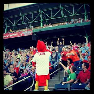 Image post by @springfield_cardinals on Instagram