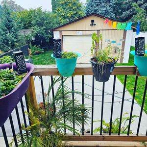 Image post by @hollysmee on Instagram