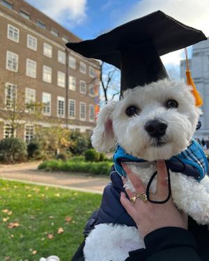 Image post by @soasuni on Instagram