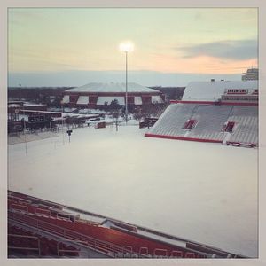 Image post by @isuredbirds on Instagram