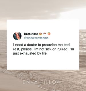Image post by @envypillow on Instagram